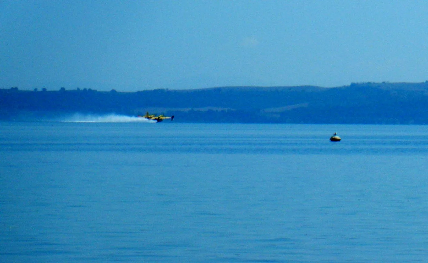 Canadair chargeant de l’eau pour la lutte contre les incendies — image d’archive