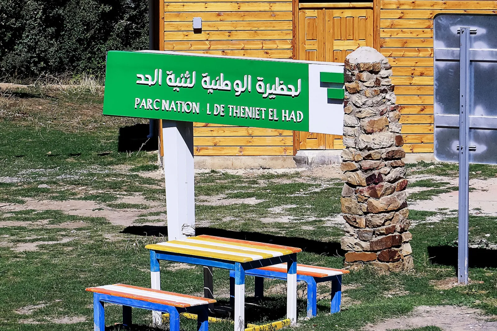 Paysage forestier de Theniet El Had