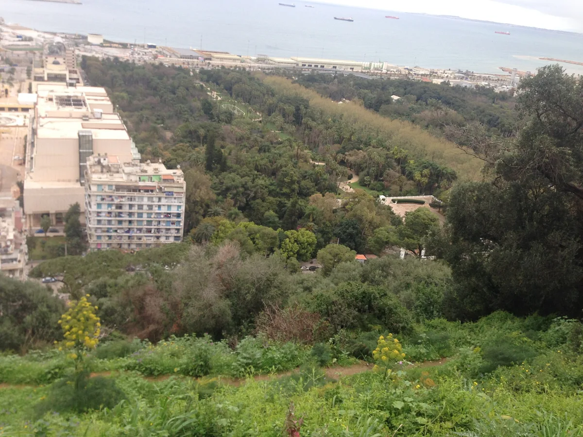Vue urbaine d’Alger en 2016