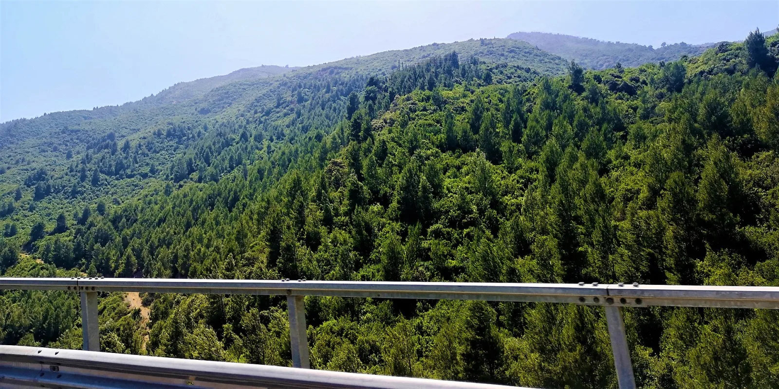 Paysage forestier du parc national de Chréa en Algérie