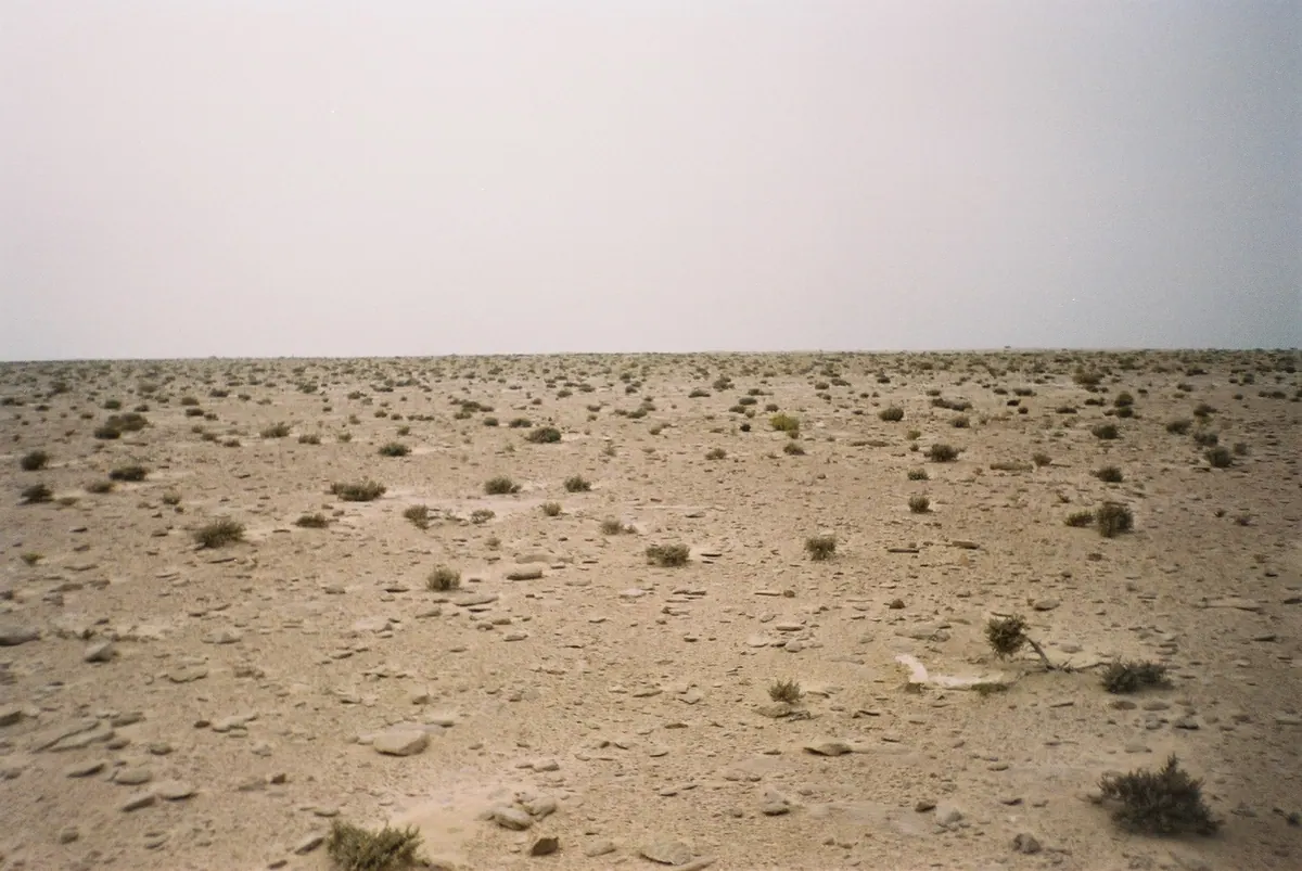Route et paysage désertique au Sahara occidental
