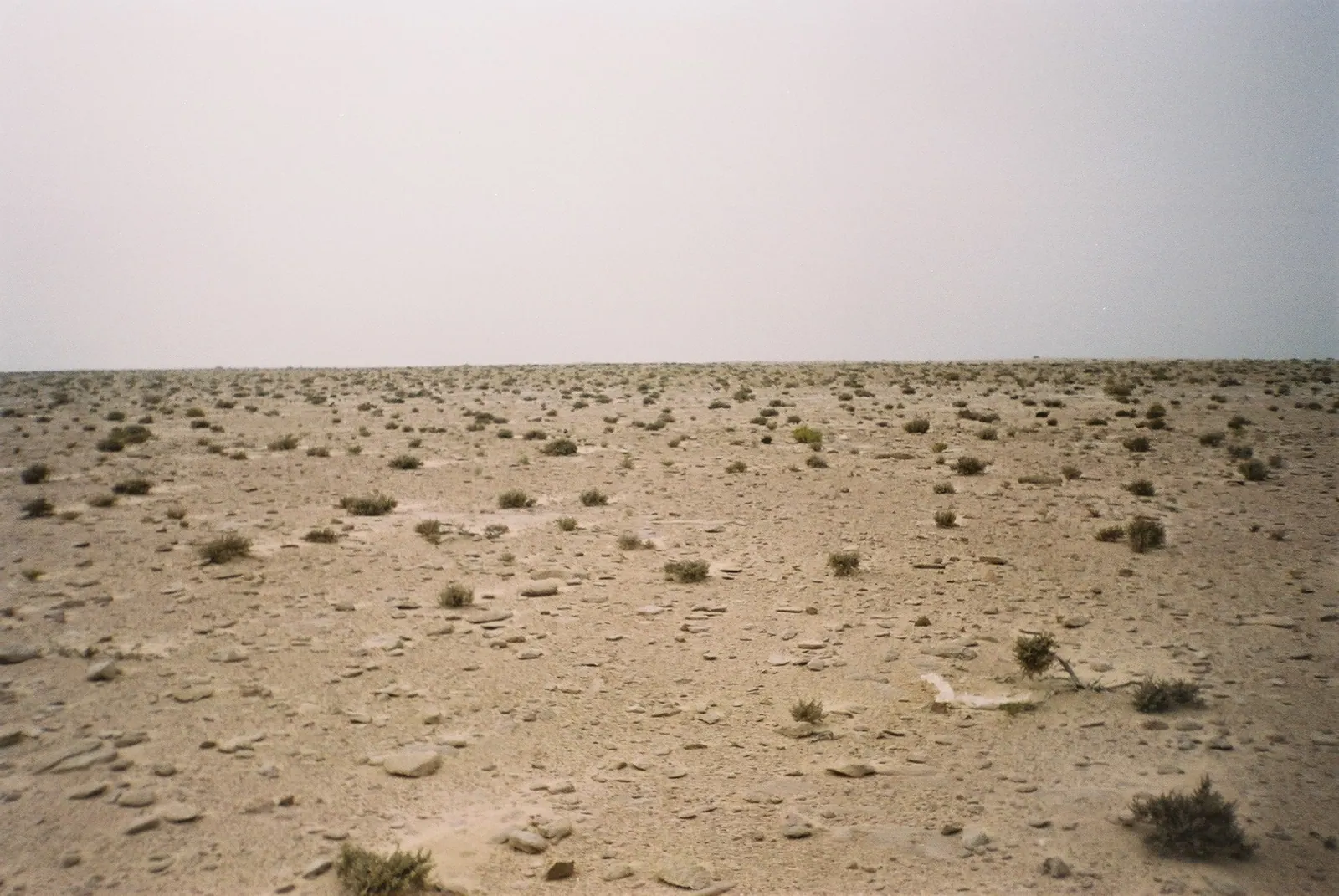 Paysage désertique du Sahara occidental