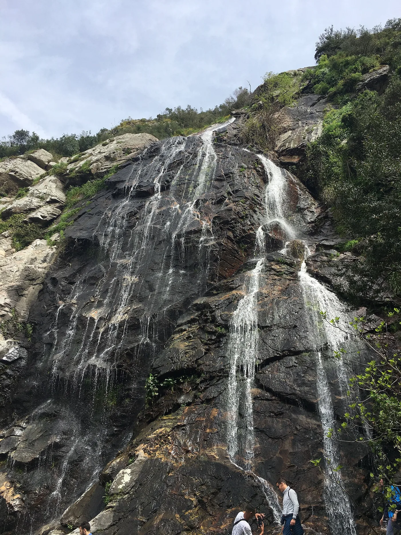 Cascade et végétation à Seraïdi, massif de l’Edough